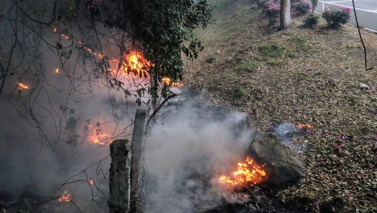 Del 1 de enero al 10 de abril, se registraron 2 mil 553 incendios forestales en los 32 estados del país. (Foto: Cuartoscuro)