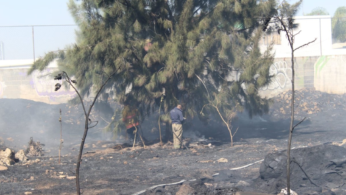 Incendios forestales en Guanajuato se disparan en comparación a 2024 | Especial