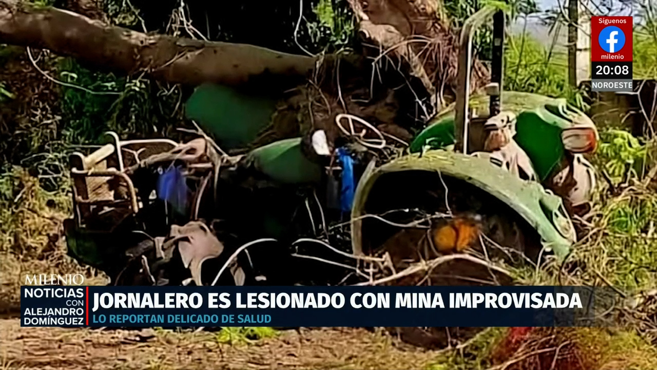 Jornalero herido al detonar explosivo mientras fumigaba parcela de limón en Michoacán