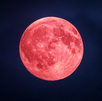 La Luna Rosa de abril está asociada con la Primavera, sigue las cobertura EN VIVO aquí | Especial