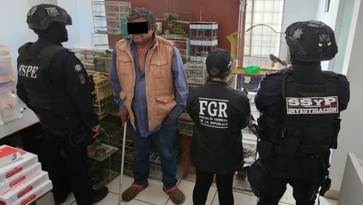 Rescatan aves exóticas en Celaya, Guanajuato. | Cortesía.
