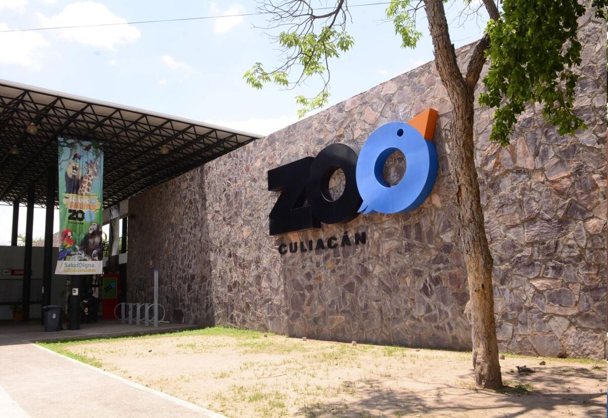 Videos e imágenes de los animales en el zoológico preocupan a usuarios de redes sociales | Ayuntamiento Culiacán