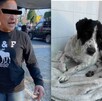  arrestan a mujer que hirió a un perro | Especial