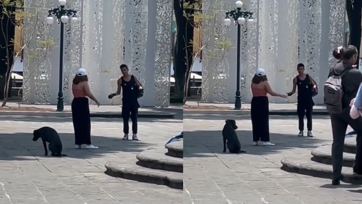 Joven discute con perrito en Puebla; chica tuvo que intervenir | Especial