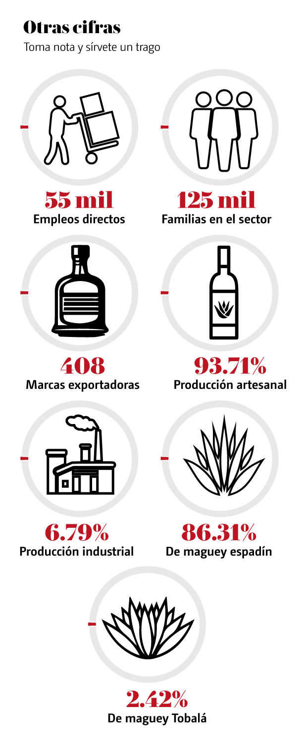 Mezcal 4