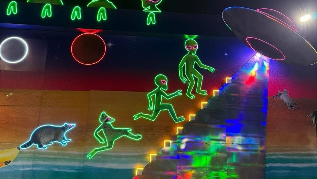 Sobre su techo se instaló un platillo volador que da a entender que los mapaches son en realidad extraterrestres.