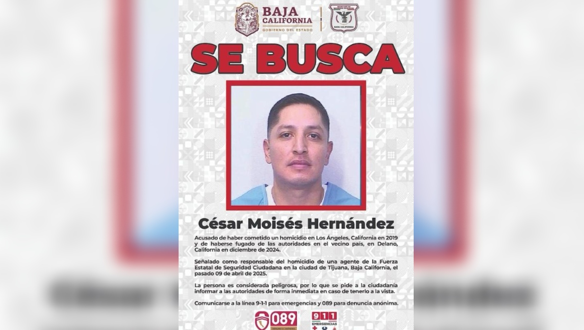 Capturan en Tijuana al asesino de la jefa de Enlace Internacional de la FESC