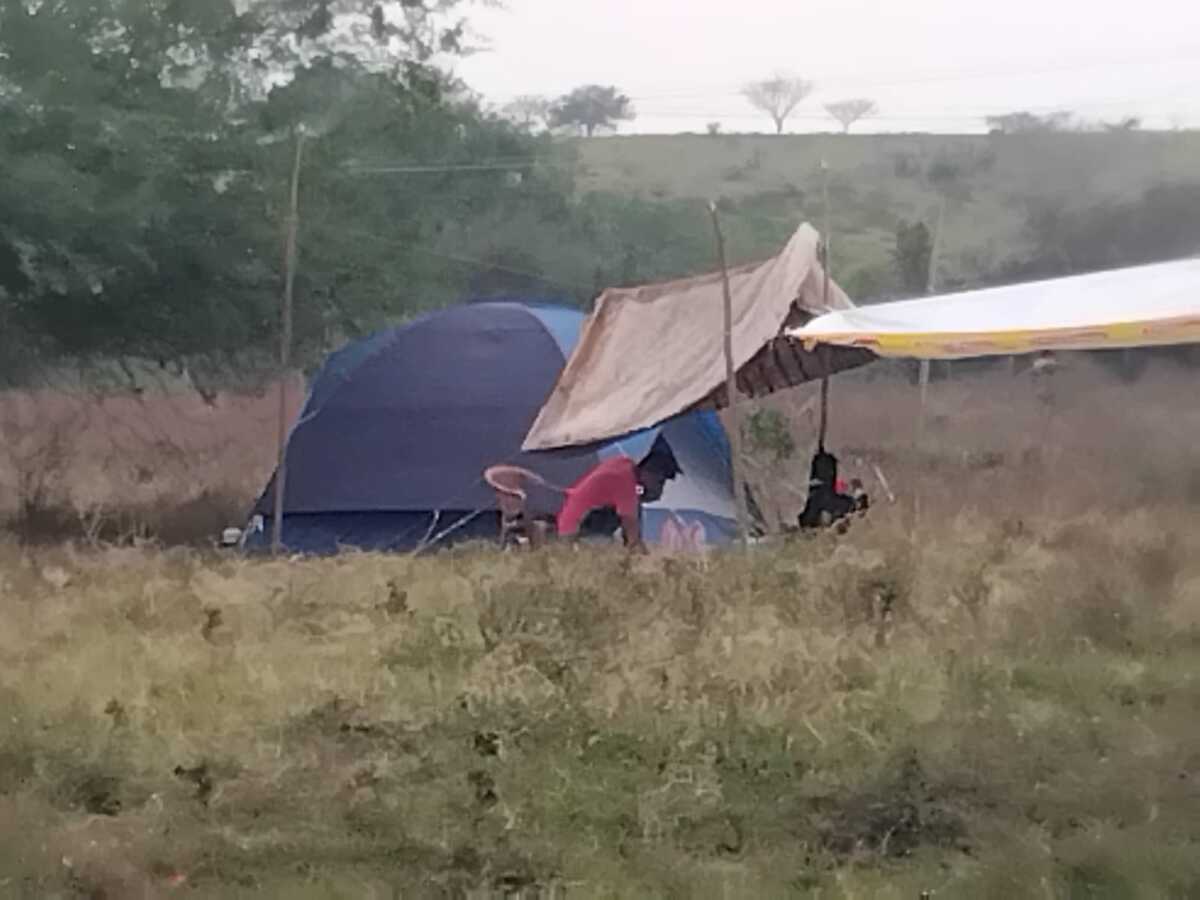 Los invasores instalaron tiendas de campaña en el predio en Veracruz. | Especial