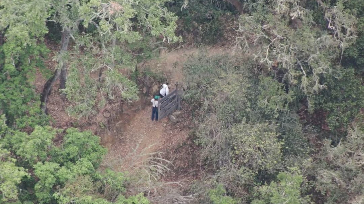 Autoridades recorren la sierra de Lolotla, Hidalgo, en busca de un menor desaparecido