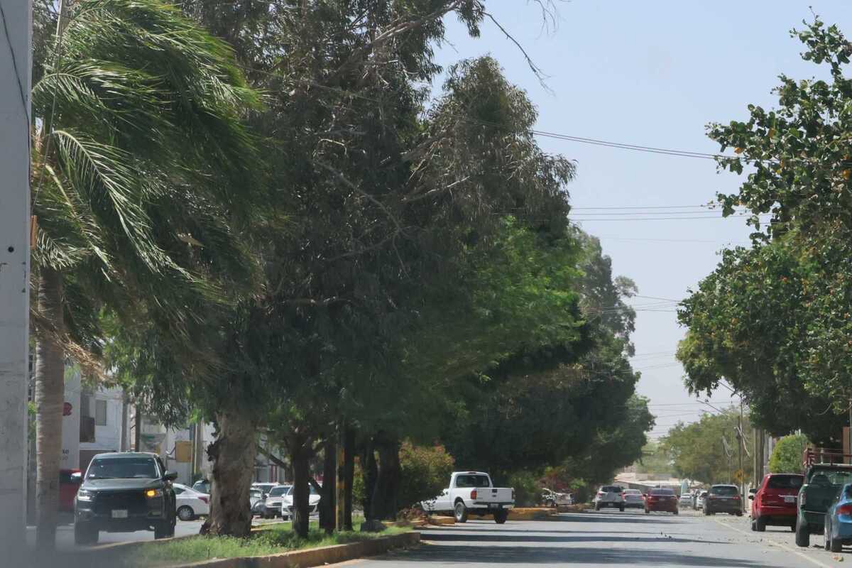Te decimos cuál es el pronóstico del tiempo para Torreón, Saltillo, Coahuila y Durango este 21 de abril por Condición climática.| Verónica Rivera