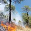 Incendio forestal en Puebla aumenta extensión y 'cruza' a Tlaxcala | Especial