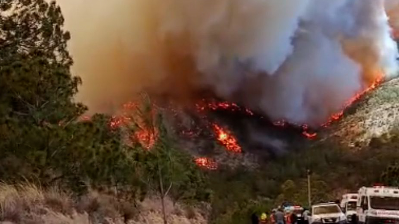 Liquidación de incendio forestal en el Cerro de San Gabriel