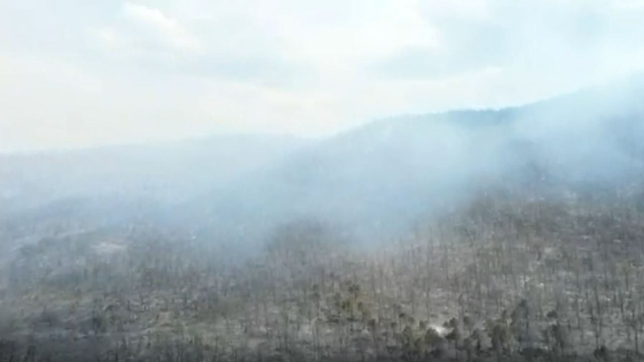 Refuerzan combate en incendio de Huachichil, Coahuila; se registran 250 hectáreas afectadas