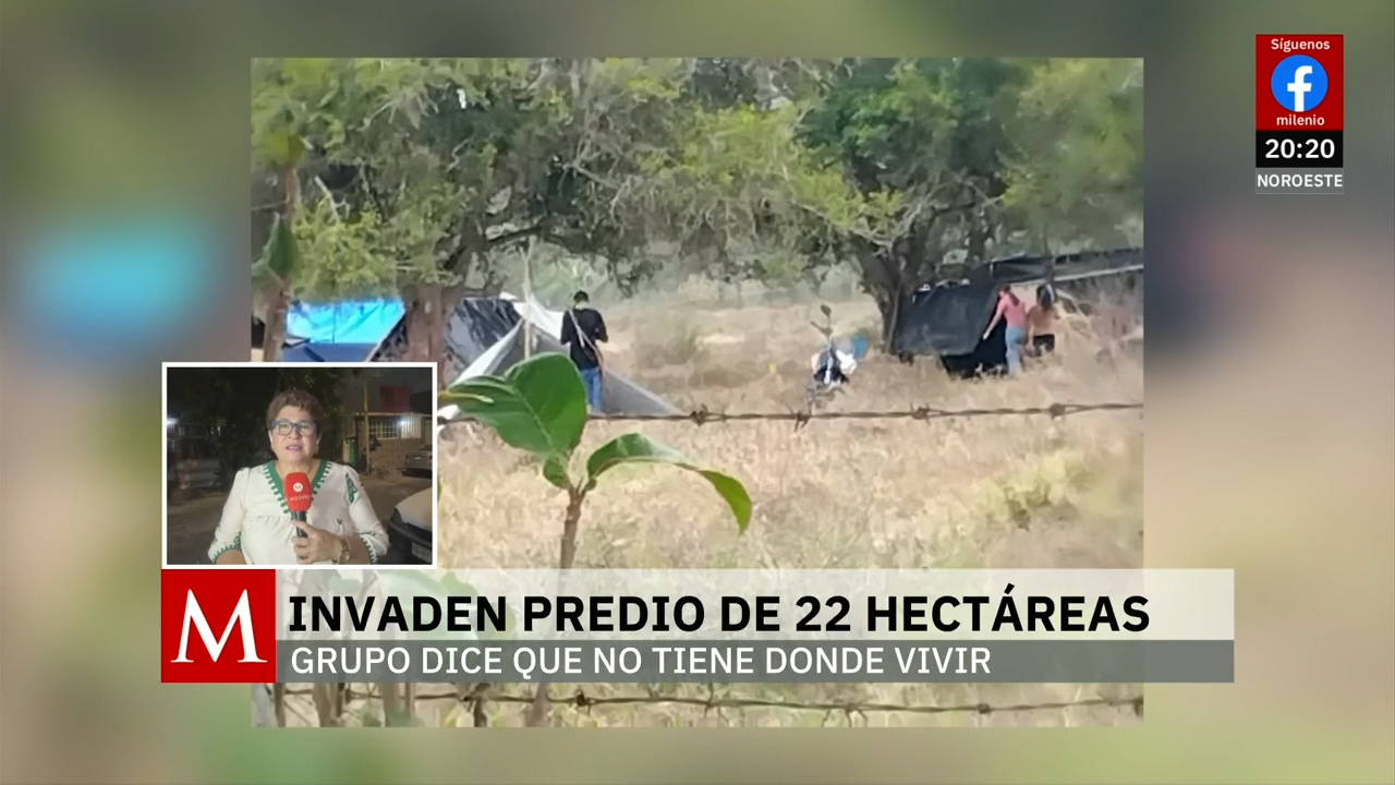 Despojo de terreno por 'paracaidistas' en Veracruz genera investigación