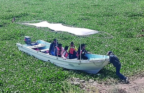 Titular de SAGUA convoca a la sociedad civil en general a limpieza de la laguna. Especial