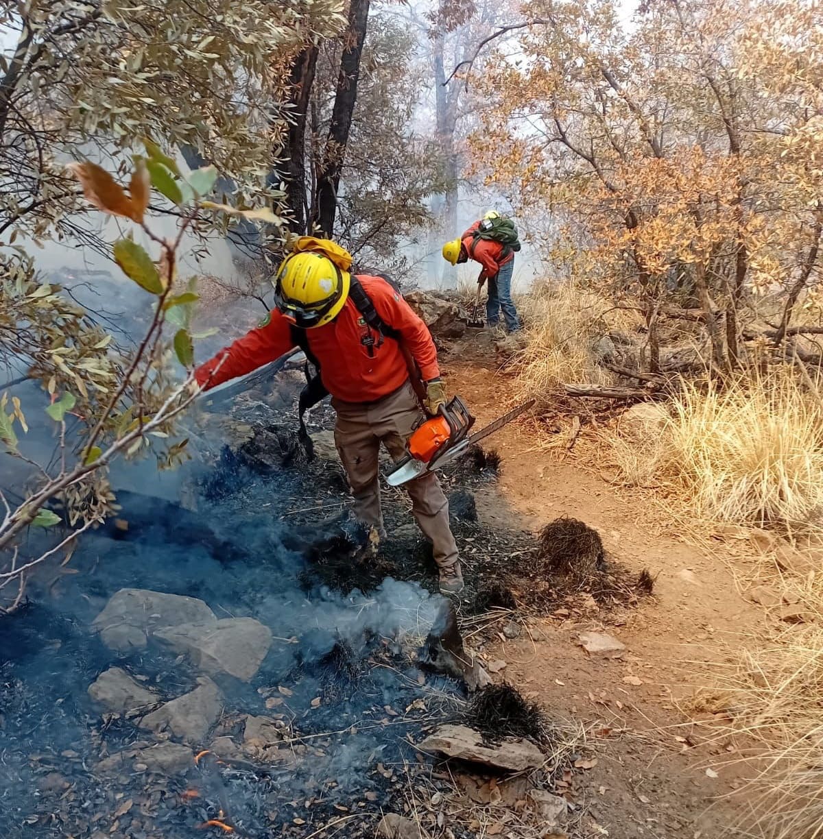 El incendio se mantiene controlado en un 60%
