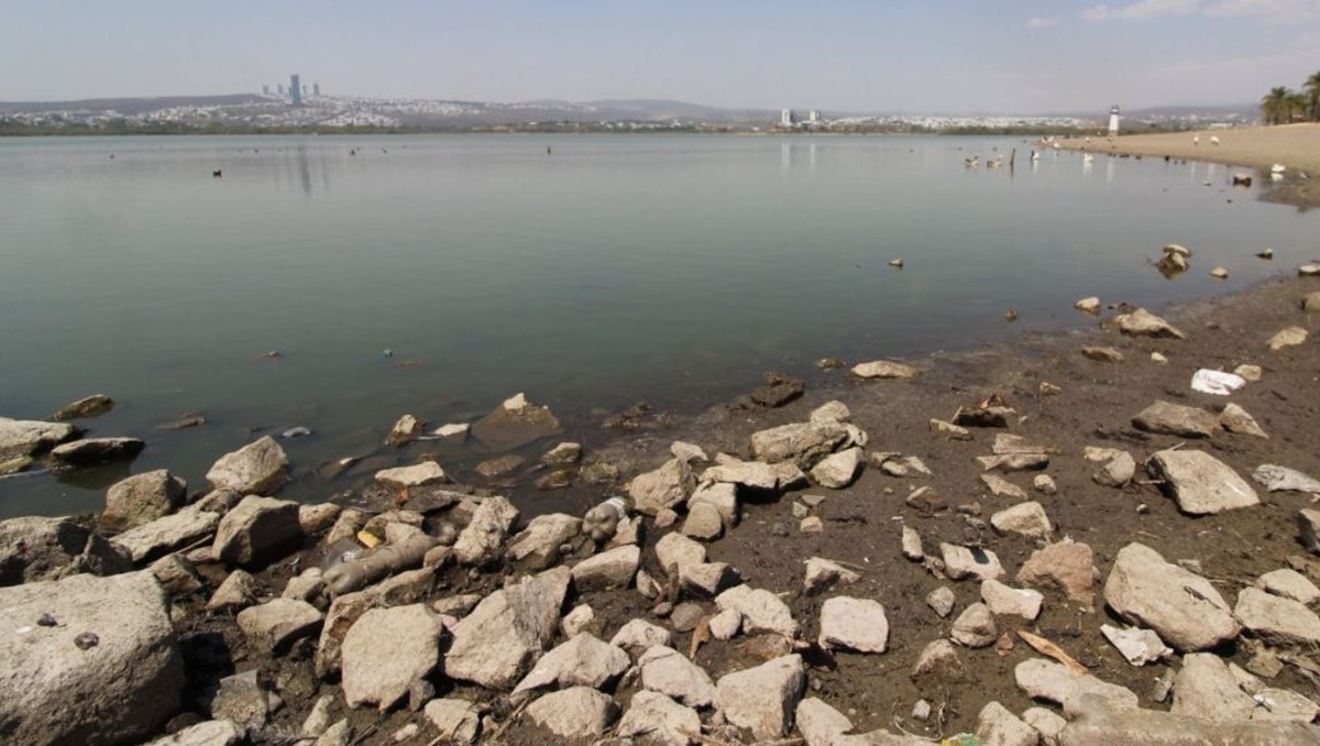 Nivel de la Presa El Palote en León, Guanajuato: ¿Cuánta agua tiene? | Daniela Béjar.