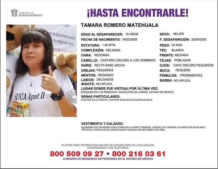 Ficha de búsqueda de menor desaparecida.