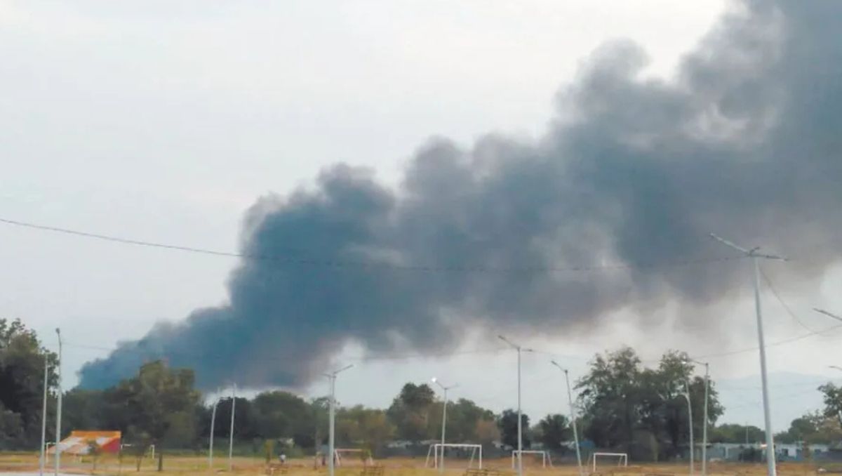 A nivel nacional se investigaron 271 delitos contra el ambiente y la gestión ambiental / Especial.