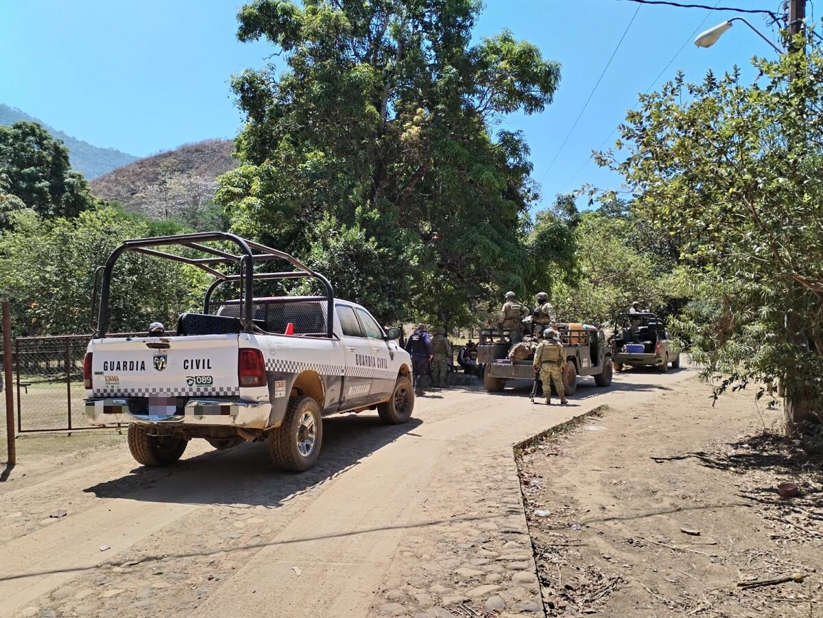 En el operativo participaron miembros de Defensa y de la Guardia Civil de Michoacán.