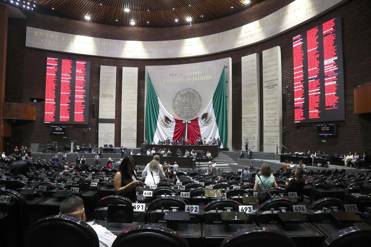 El proyecto considera protección jurídica a los deportistas de caza. (Foto: especial)