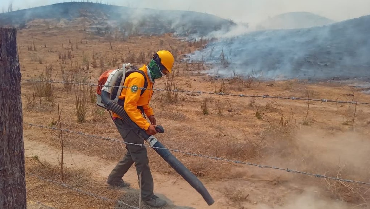 Protección Civil estatal informó del combate de incendios en Jalisco (X)