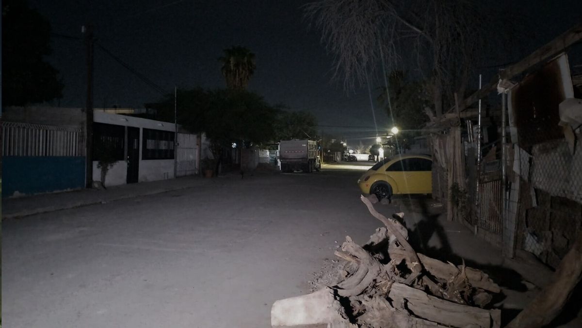 La falta de luz se originó cuando unas personas podaron una palma de manera descuidada. | Especial