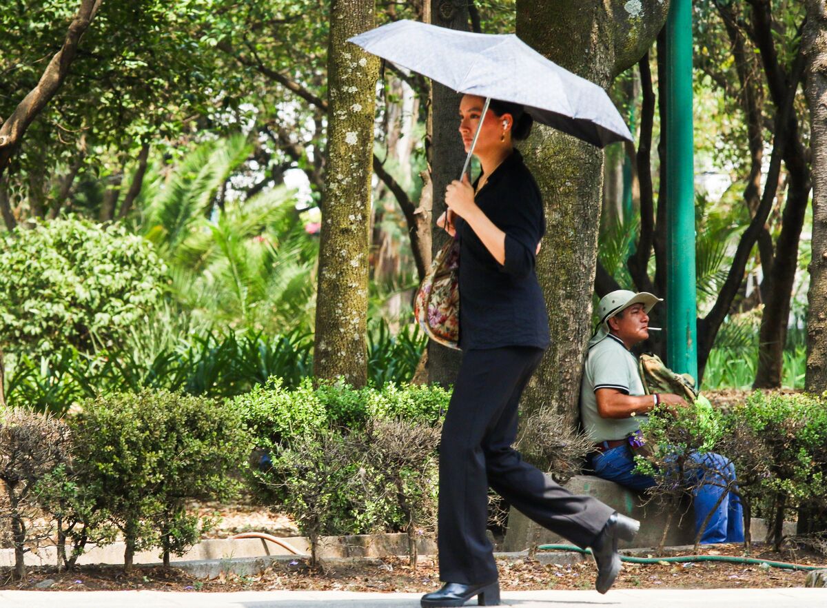 Ola de calor se intensifica este 25 de abril: prevén hasta 45 grados | Cuartoscuro