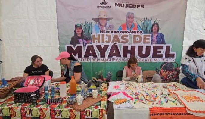 Tianguis orgánico en Epazoyucan. (Guadalupe Trejo)