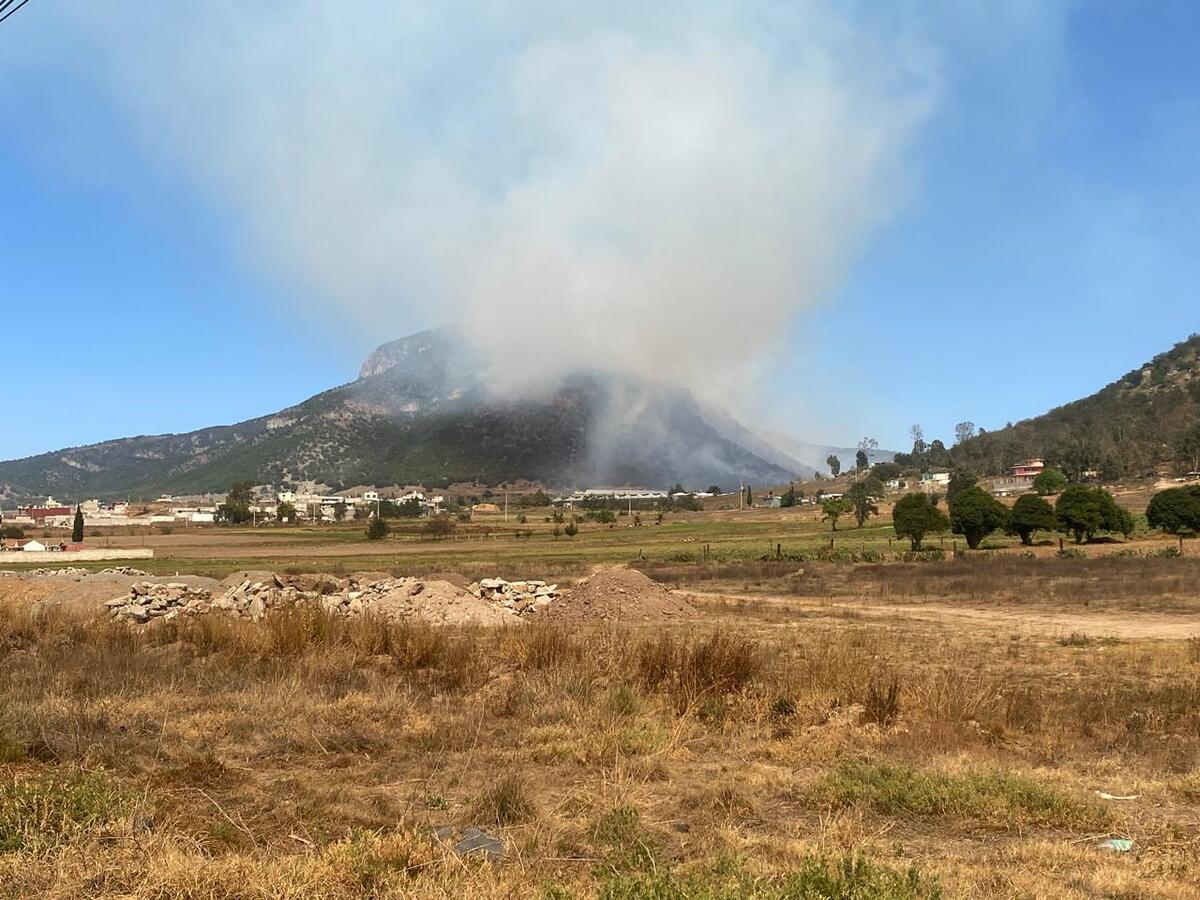 Densa columna de humo cubre el cielo de Tulancingo tras incendio en  el cerro de Napateco