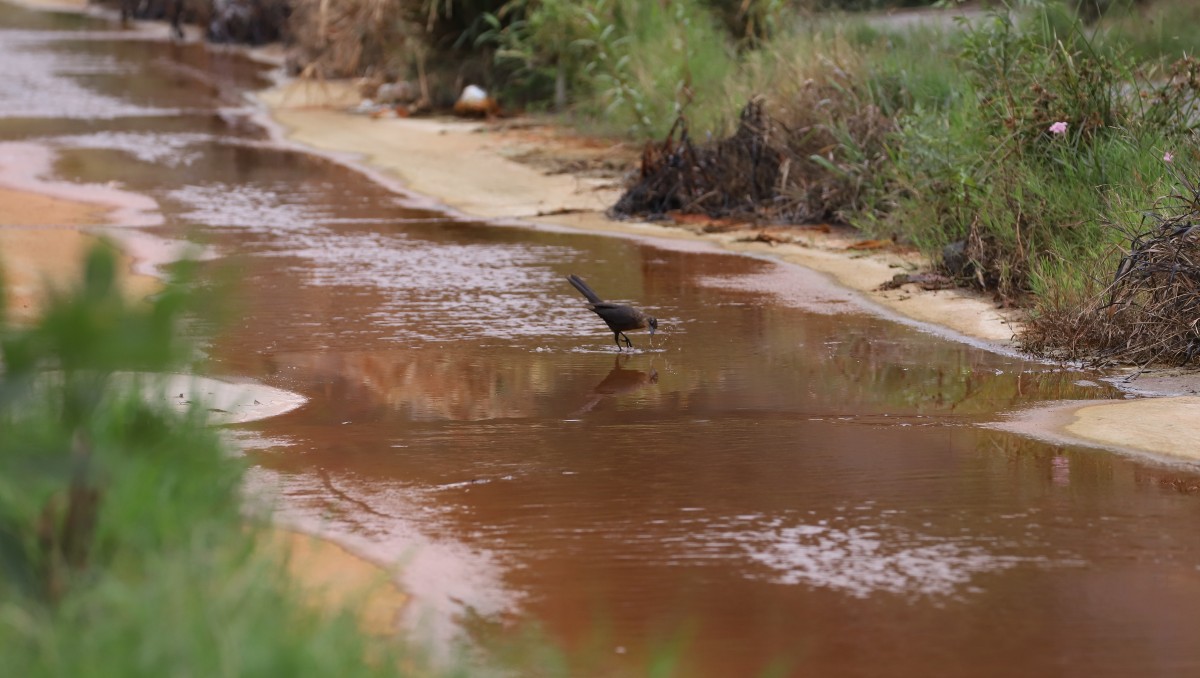 La sanción será por la descarga de contaminantes sobre el Arroyo “La Talaverna”. Foto: Luis Guerra