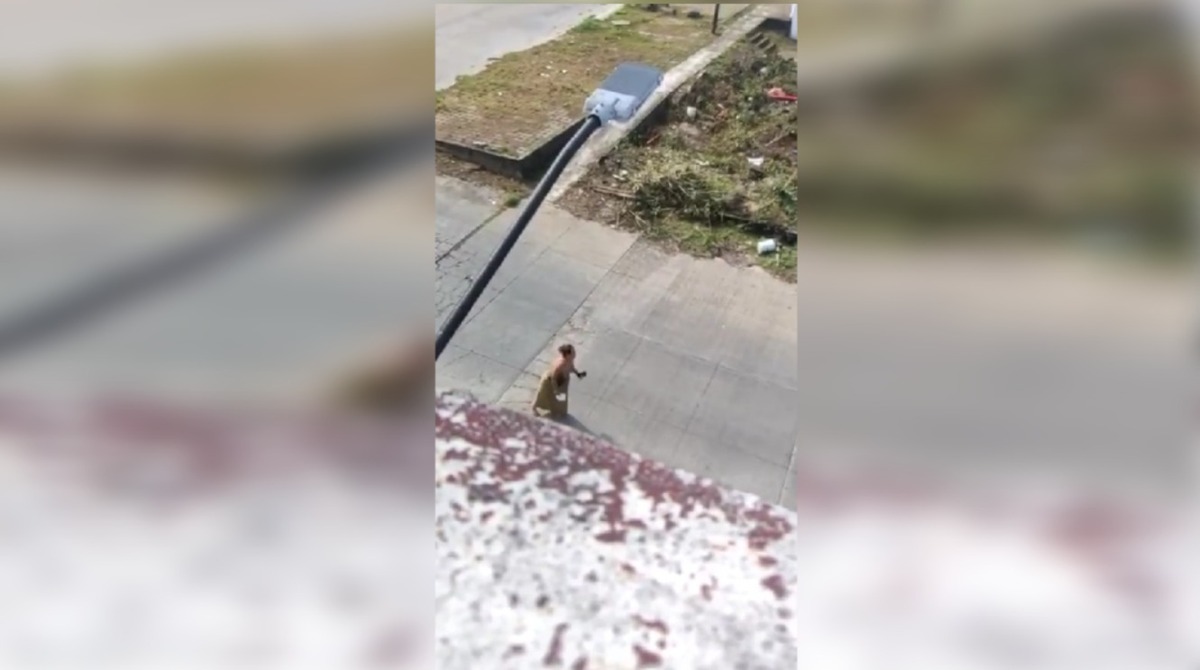 La situación se dio a conocer mediante un video en redes sociales. (Foto: especial)