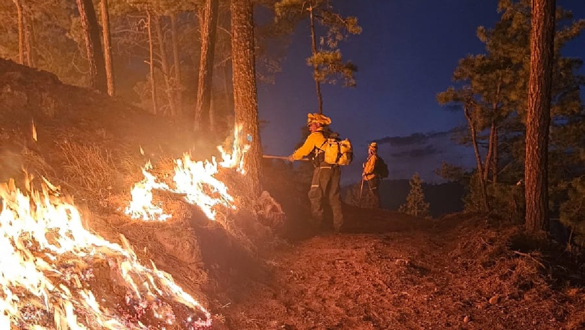 La Conafor combate los incendios reportados en Chihuahua. |  @CONAFOR