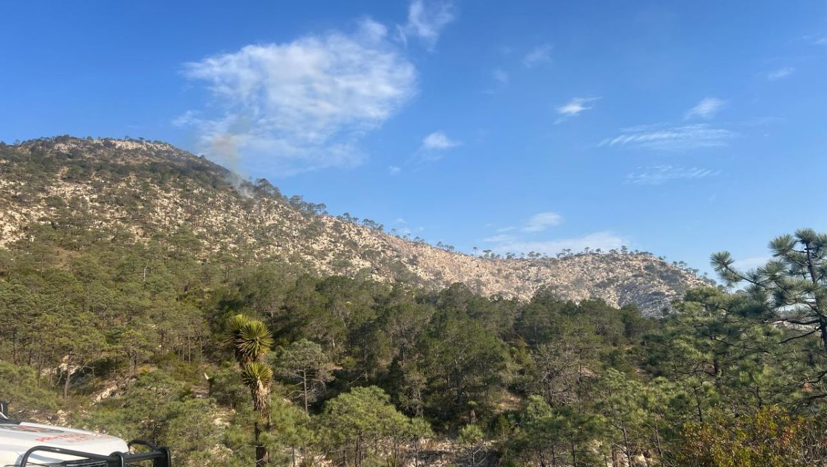 En las labores participan Protección Civil Nuevo León y Galeana, CONAFOR y CRUM | Especial