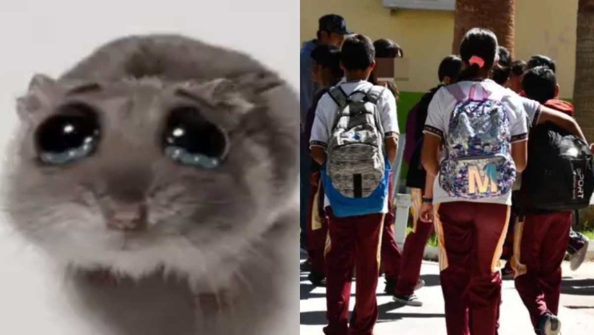 El regreso a clases trajo lágrimas y algunas risas gracias a los memes en redes.