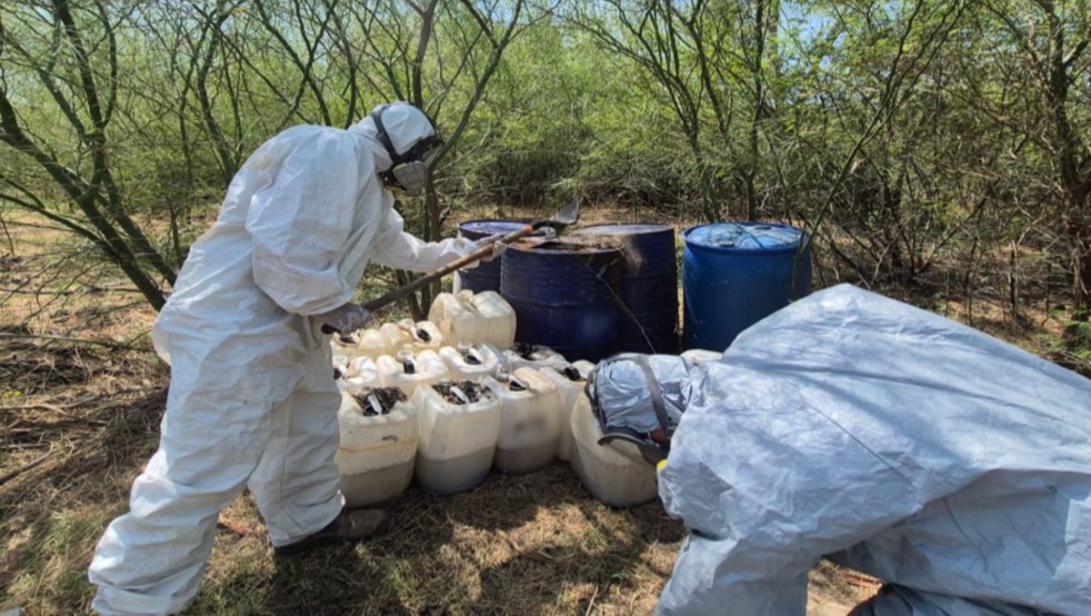Aseguran áreas de concentración de material para fabricar metanfetamina en Sinaloa. | SSPC