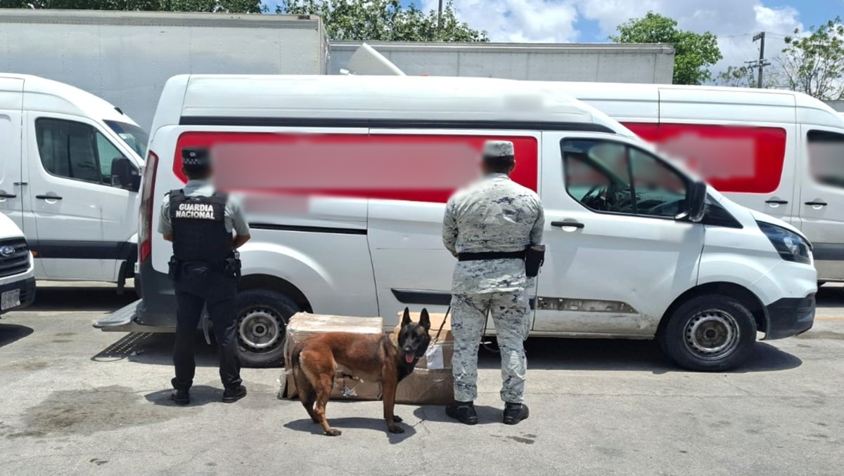 La droga fue encontrada tras una inspección en una empresa de paquetería en el aeropuerto de Quintana Roo. | Especial