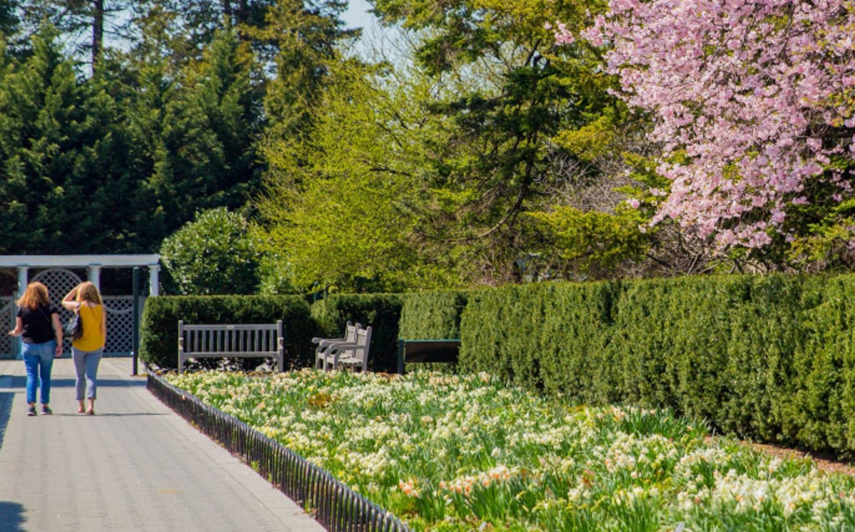 El Jardín Botánico de Nueva York. FOTO: Especial