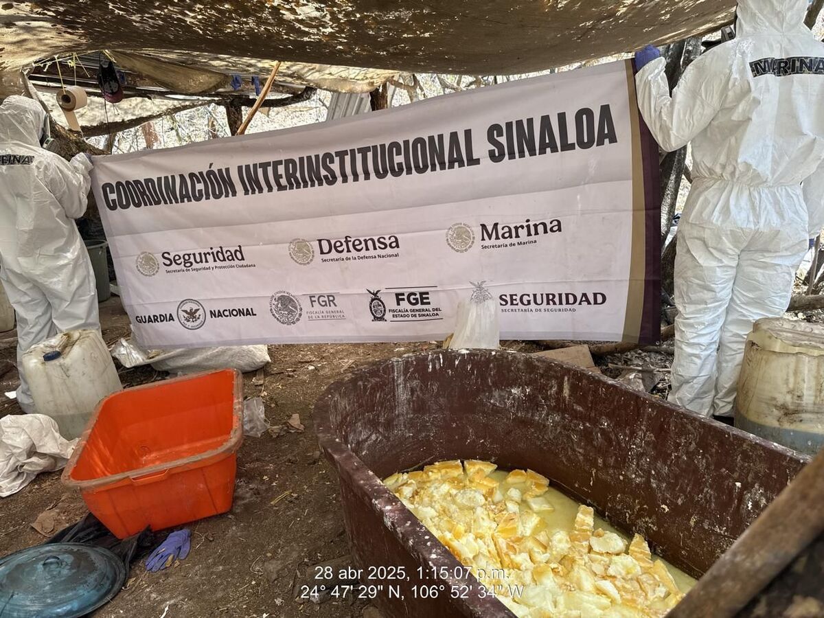 Un narcolaboratorio fue asegurado en Sinaloa. | SSPC