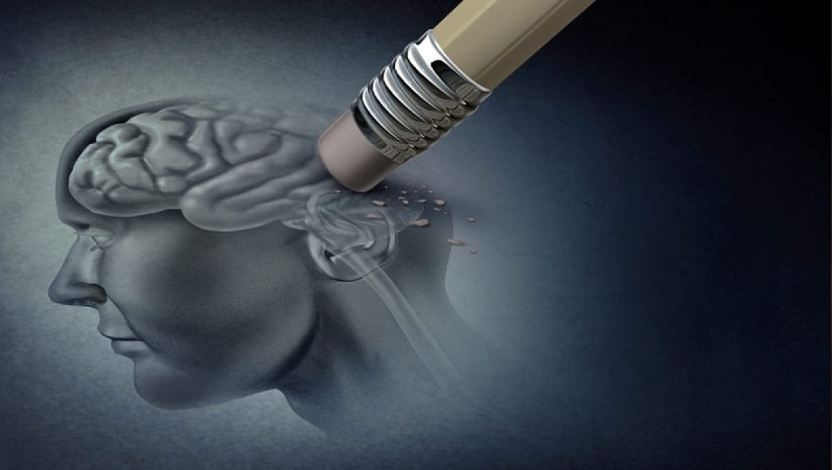 Estudio revela cómo se puede prevenir el Alzheimer