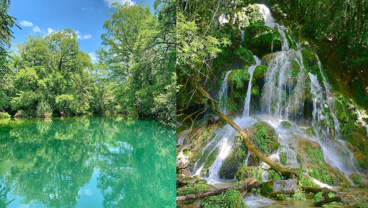 Reserva El Cielo de Tamaulipas gana premio nacional como mejor destino para sentir la energía de la naturaleza