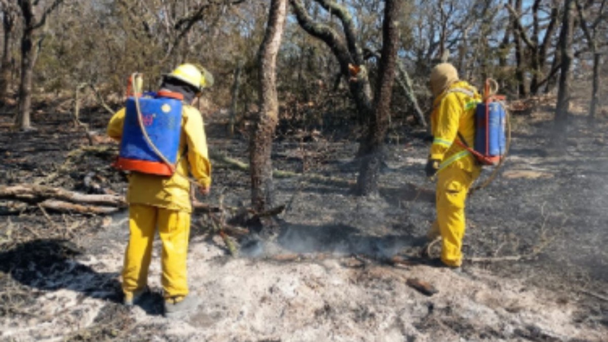 Incendio en Sierra de Lobos, Guanajuato.