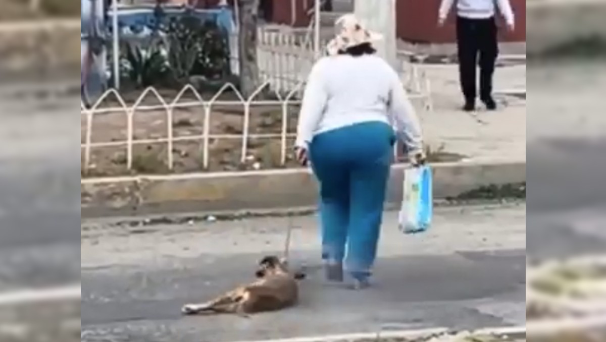 La mujer fue grabada arrastrando al perro mientras caminaba por El Palmar en Pachuca.