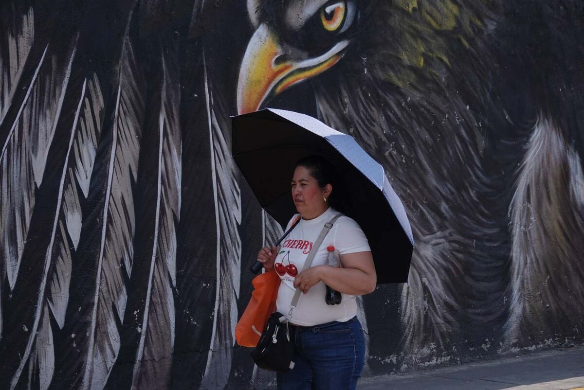 Onda de calor azota México: temperaturas superan los 45 °C en el sur y occidente | Cuartoscuro
