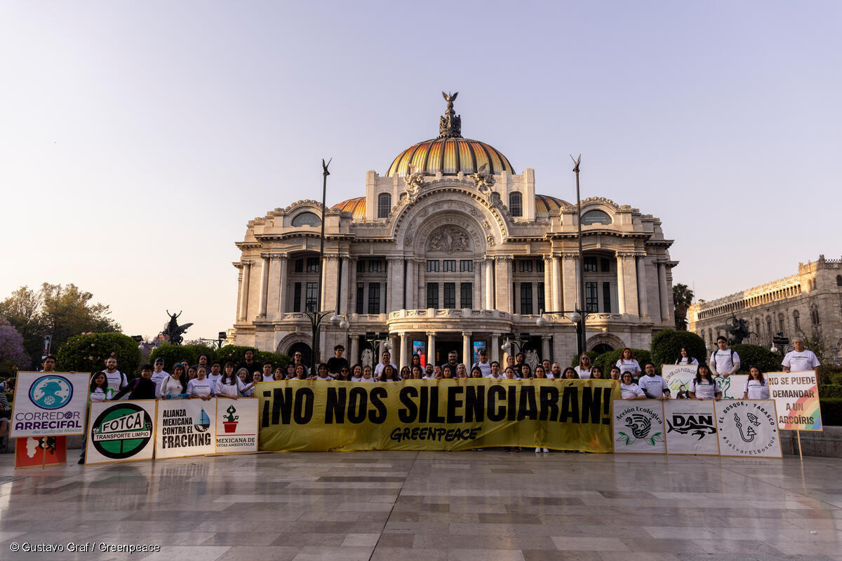 Voluntarios de Greenpeace México se reunieron en Ciudad de México. (Foto: @greenpeacemx)