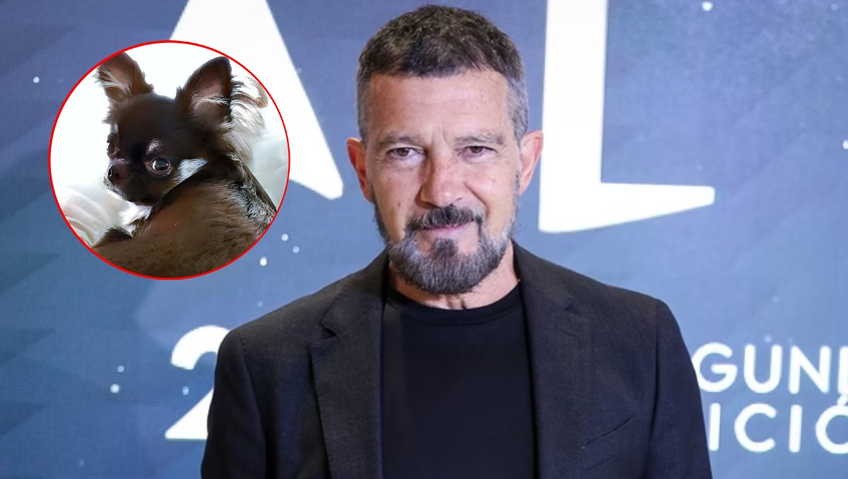 Antonio Banderas presumió a su adorable mascota en redes sociales.