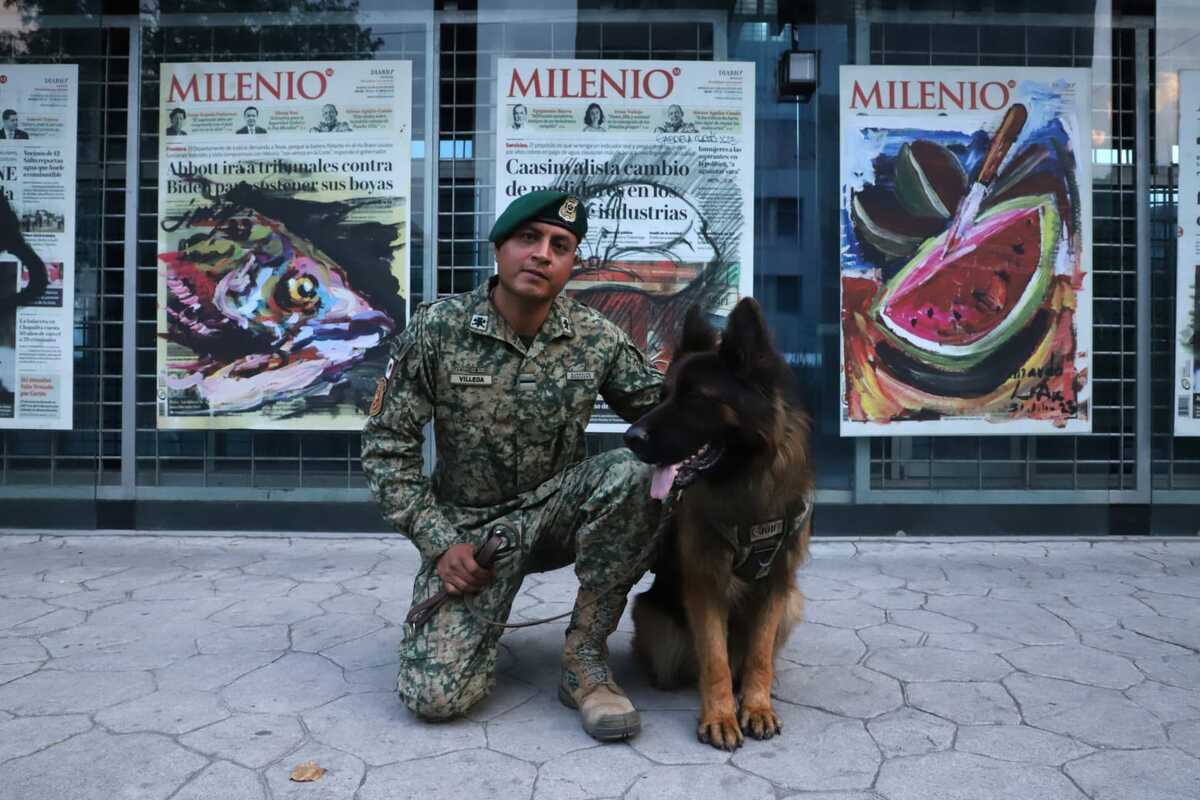 Arkadas entrena todos los días para mantener sus instintos despiertos. | Foto: Jesús Quintanar