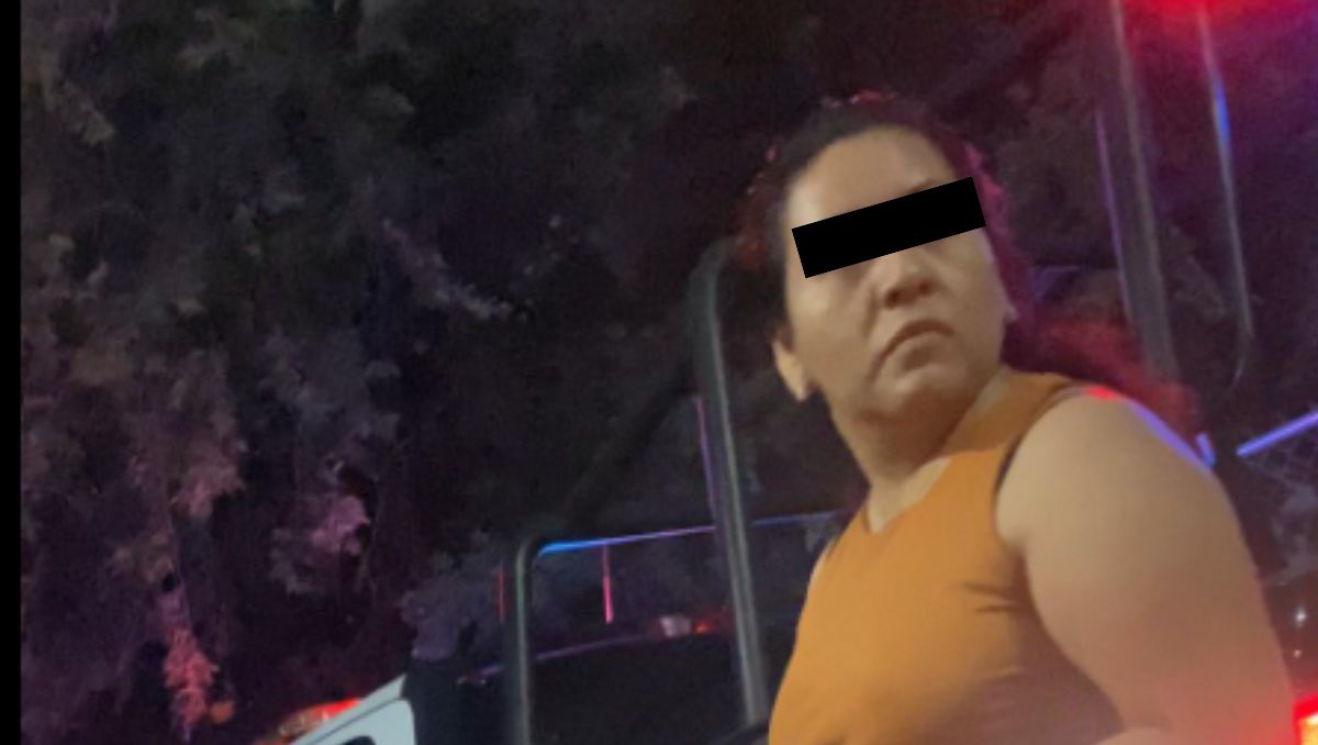 La mujer dejó al animal dentro de la bolsa y salió de su casa. | Especial