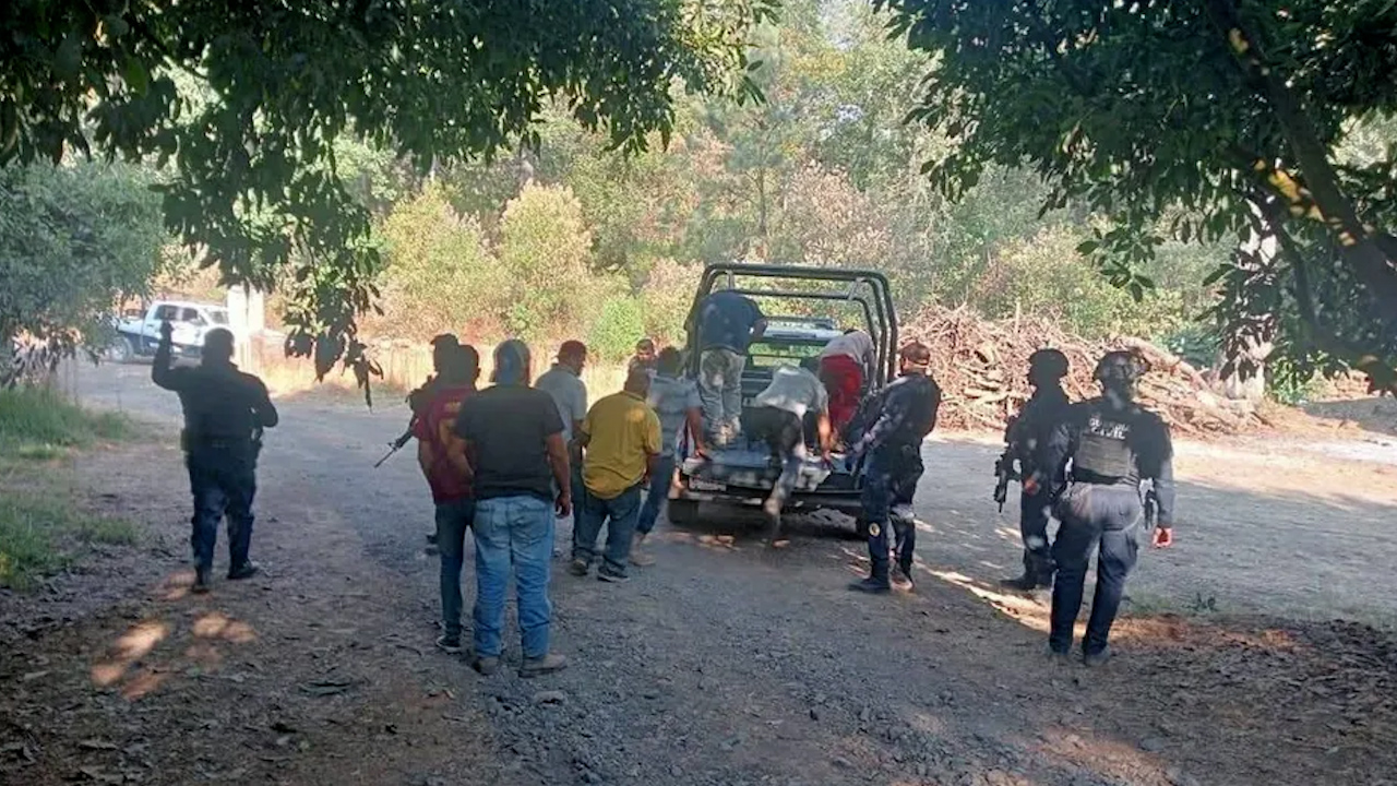 Autoridades detienen a grupo delictivo dedicado al saqueo de aguacates