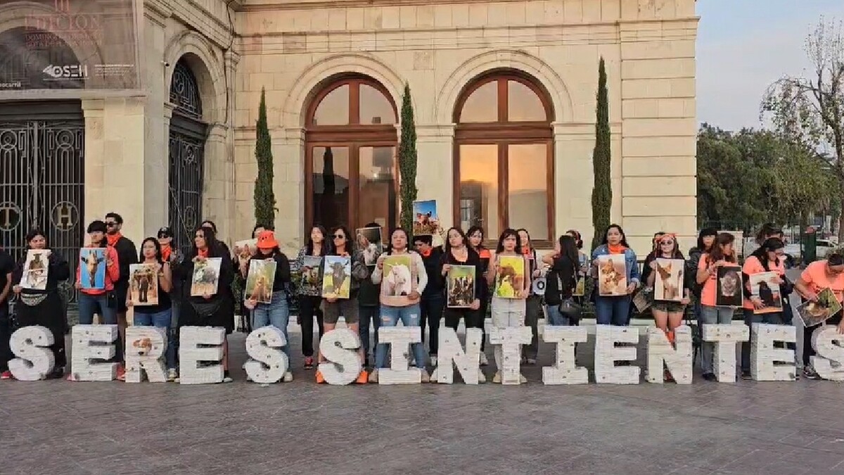 Activistas protestaron en Pachuca para exigir que los cabildos aprueben la reforma que reconoce a los animales como seres sintientes